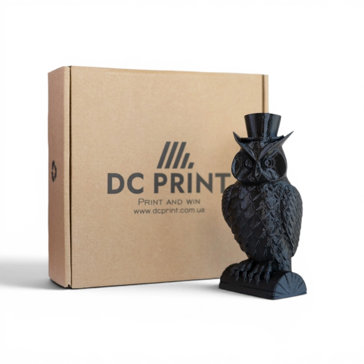 PETG Філамент DC Print 1.75 mm Чорний/Black - 1кг - Зображення 2
