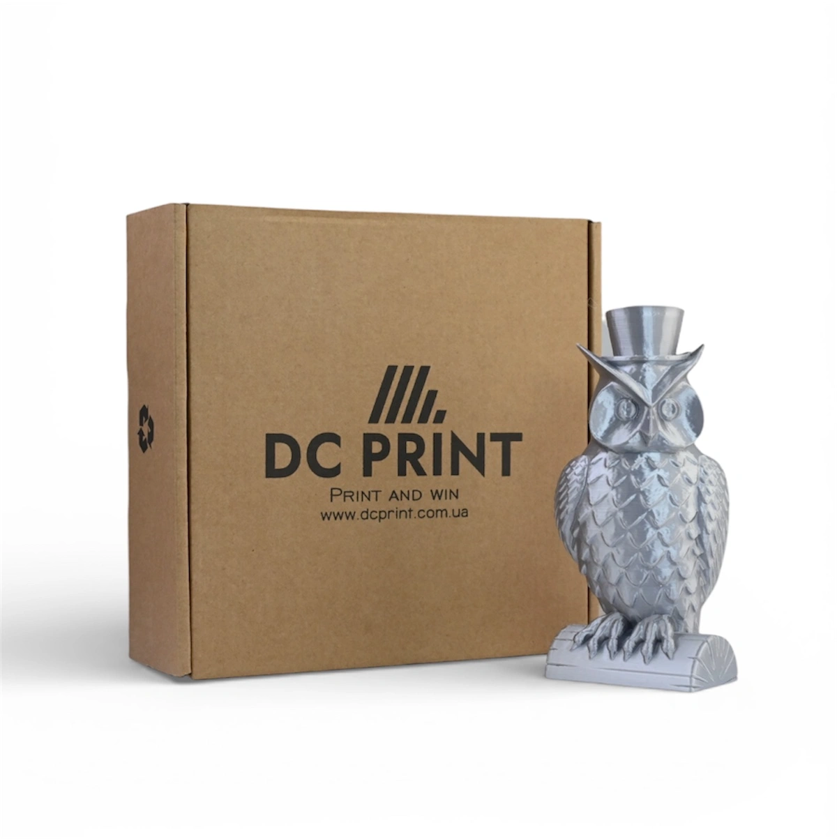 PLA Silk Філамент DC Print 1.75 mm Срібний/Silver 1 кг - Зображення 2